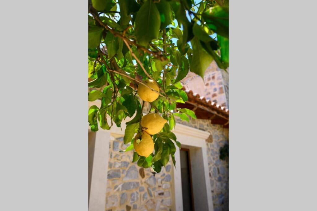Marigoula House Villa Pombia Buitenkant foto